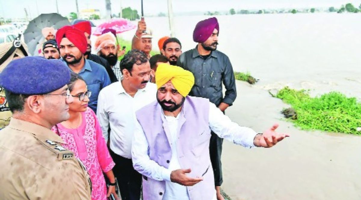 Punjab: Officials focus on relief, to count losses later - Vimarsana News