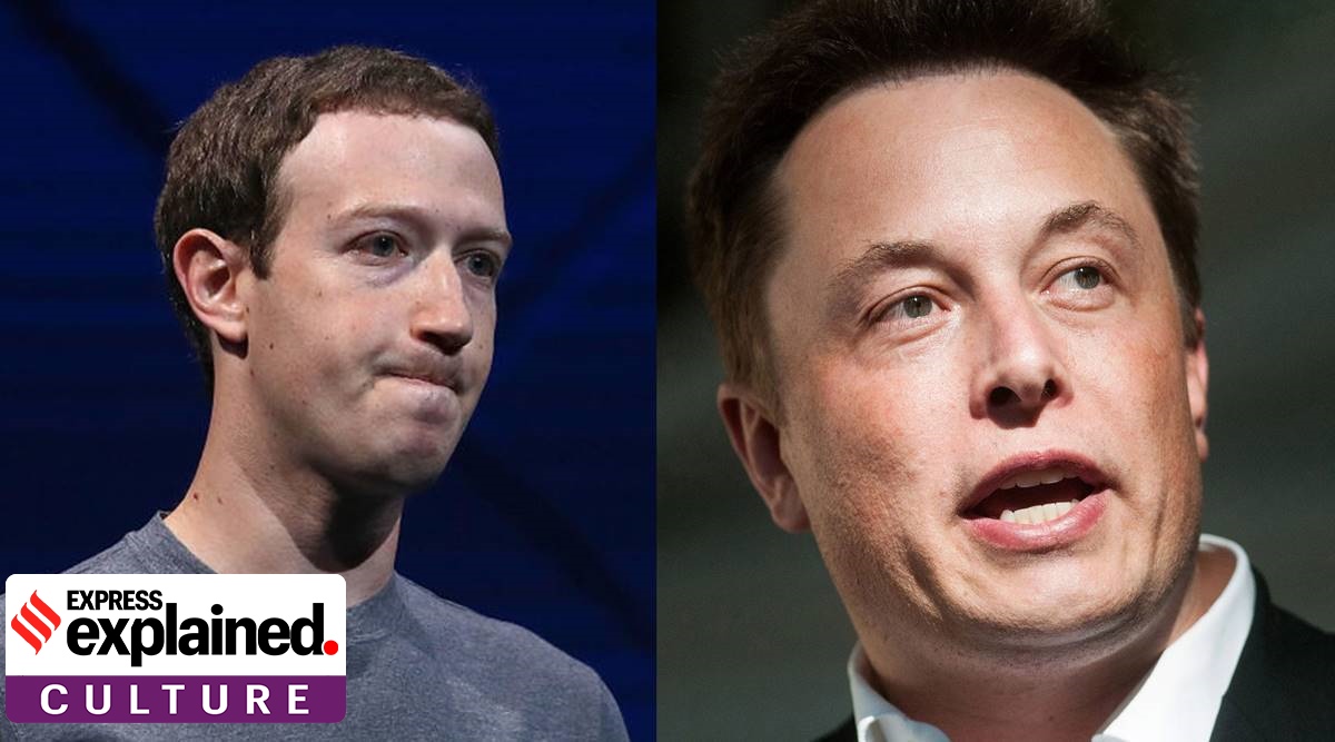 Musk calls Zuck a cuck The story of the far-rights favorite insult Explained News image picture image