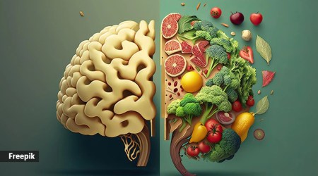 mind diet