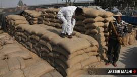 farmers online registration, paddy procurement, minimum support price, Paddy MSP, PADDY procurement season, electronic point of purchase, e-pop machines, Aadhaar authentication, wheat paddy purchase, Uttar Pradesh government, UP news, indian express, indian express news