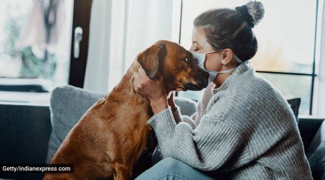 Domestic Violence case, Pets necessary for healthy life, fulfill emotional deficit, maintenance from husband, pets health issues, delhi magistrate court interim maintenance, indian express, indian express news