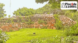 Qila Rai Pithora, Delhi’s first city, Malviya Nagar Metro station, Qila Rai Pithora tale, Delhi news, New Delhi, Indian Express, current affairs