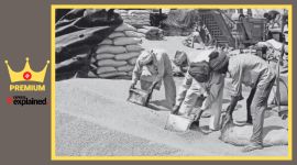 premium wheat explained