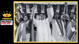 premium pulse bengal