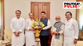 pulse ajit pawar devendra fadnavis bonhomie