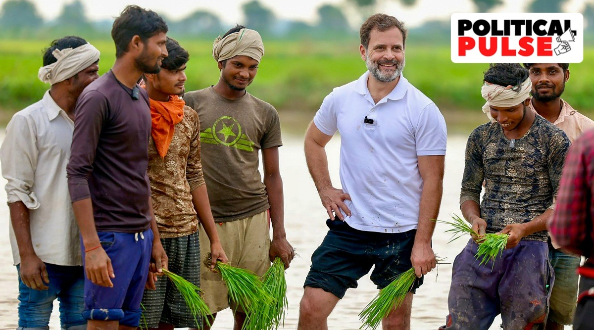Rahul Gandhi in Haryana