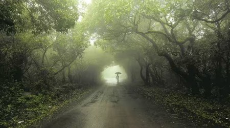 8 killed as rain throws life out of gear in Jammu