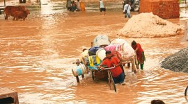 rick-4col yamuna water level, delhi yamuna river water level, Delhi Development Authority (DDA), Yamuna floodplains, Delhi news, New Delhi, Indian Express, current affairs