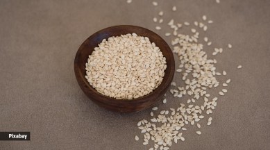 sesame seeds