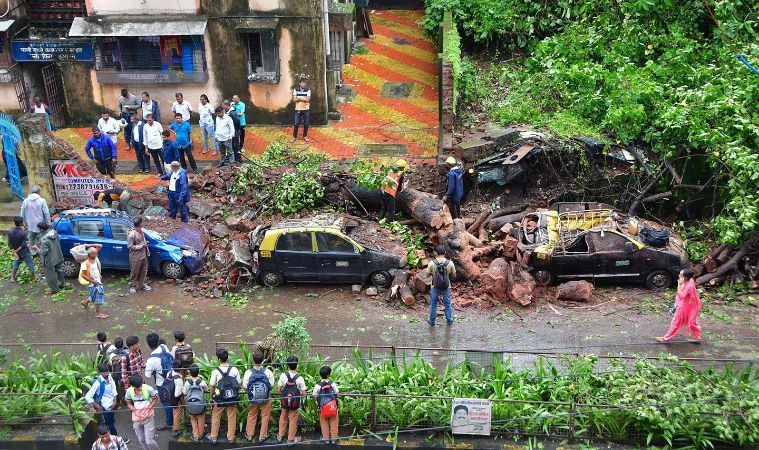 Tree Collaps Over 100 trees collapse in a week; NGO says BMC paid little heed to NGT ...
