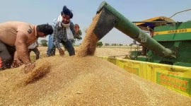 india wheat export to bhutan