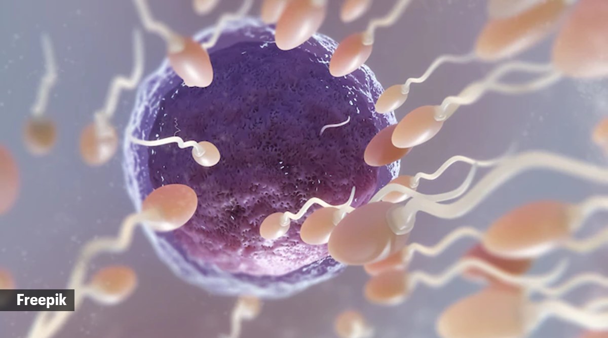 World IVF Day Debunking common misconceptions about invitro