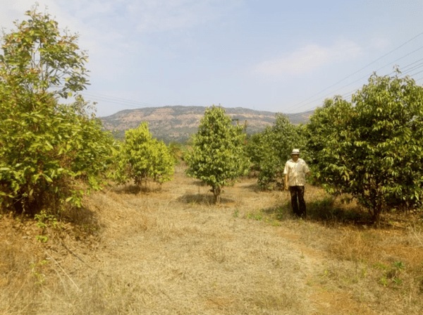 Sahyadris private forest