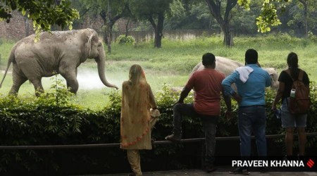 In Jamnagar today, Union minister set to visit Reliance’s mega zoo under construction