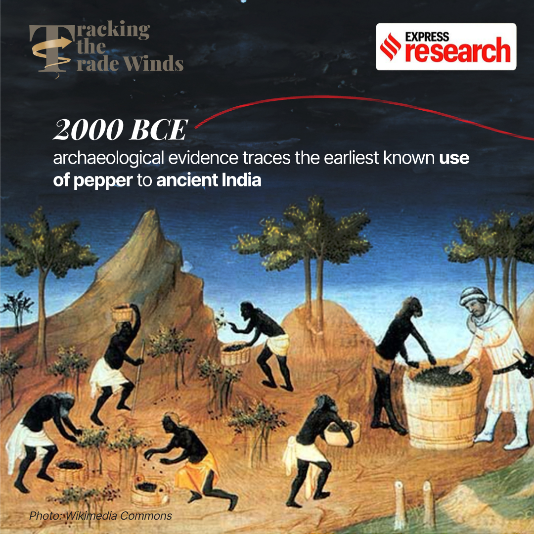 Pepper originated in India 