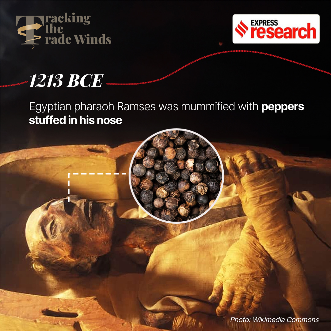 Early evidence of pepper in Egypt indicates ancient trade routes 