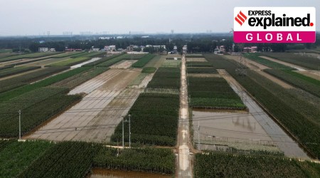An aerial view shows flood-affected farmlands after the rains and floods brought by remnants of Typhoon Doksuri, in Zhuozhou, Hebei province, China August 7, 2023.