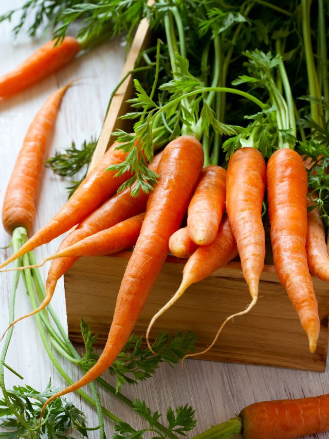 Myths about carrots | The Indian Express