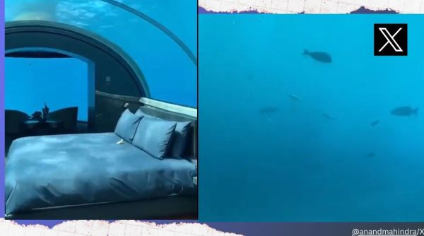 Anand Mahindra shares video of underwater suite in Maldives