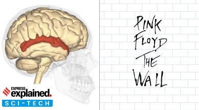 Pink Floyd song reconstructed from person's brain activity