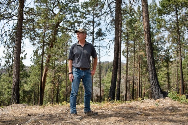 Dave Gill, the general manager of Ntityix Development, in an area of forest largely spared with the help of mitigation efforts, in West Kelowna, British Columbia, Canada, on July 21, 2023. (Amber Bracken/The New York Times)