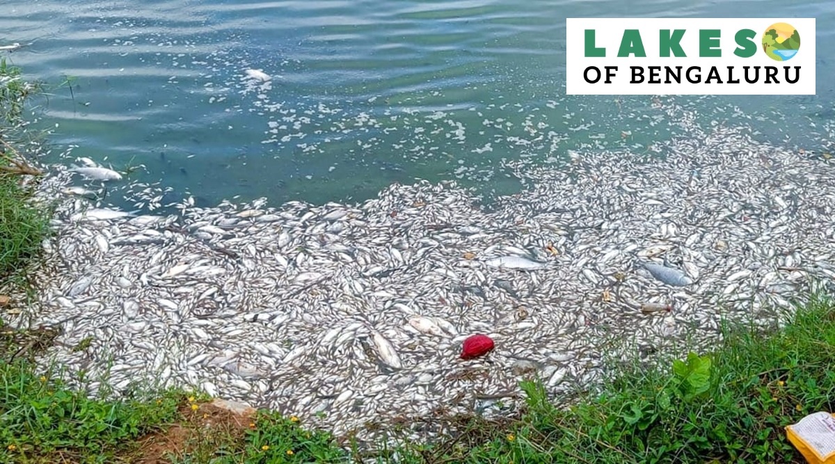 Chikkanagamangala Lake