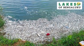 Chikkanagamangala Lake Chikkanagamangala Lake