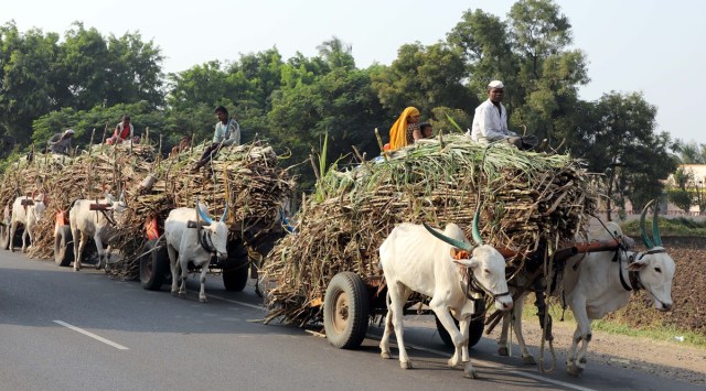 Centre allows relief to sugar cooperatives over excess cane payments made to farmers