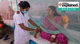 dengue vaccine trials india