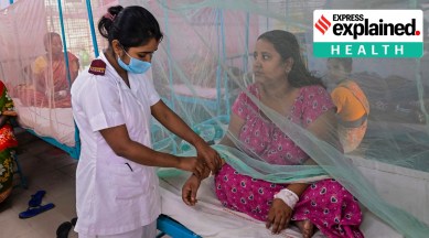 dengue vaccine trials india