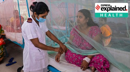 dengue vaccine trials india