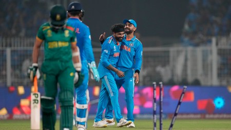 ODI World Cup: India celebrate vs SA
