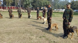 K9 squad Sniffer dogs and their handlers get ready for G20 duty: Will guard airport, hotels & venues