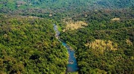 Karnataka forests Karnataka forests