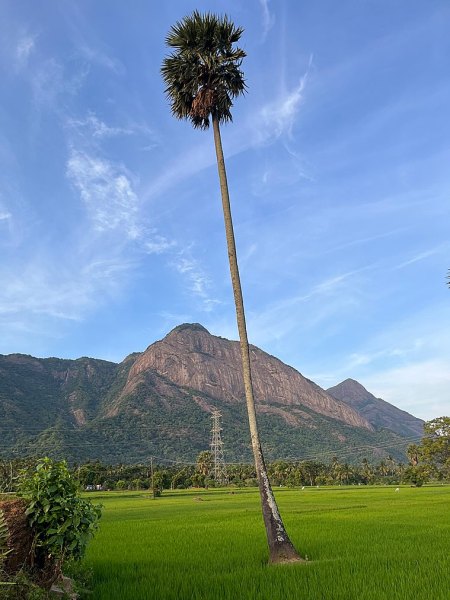 Kollengode