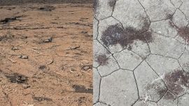 mud cracks on mars and mud cracks on earth
