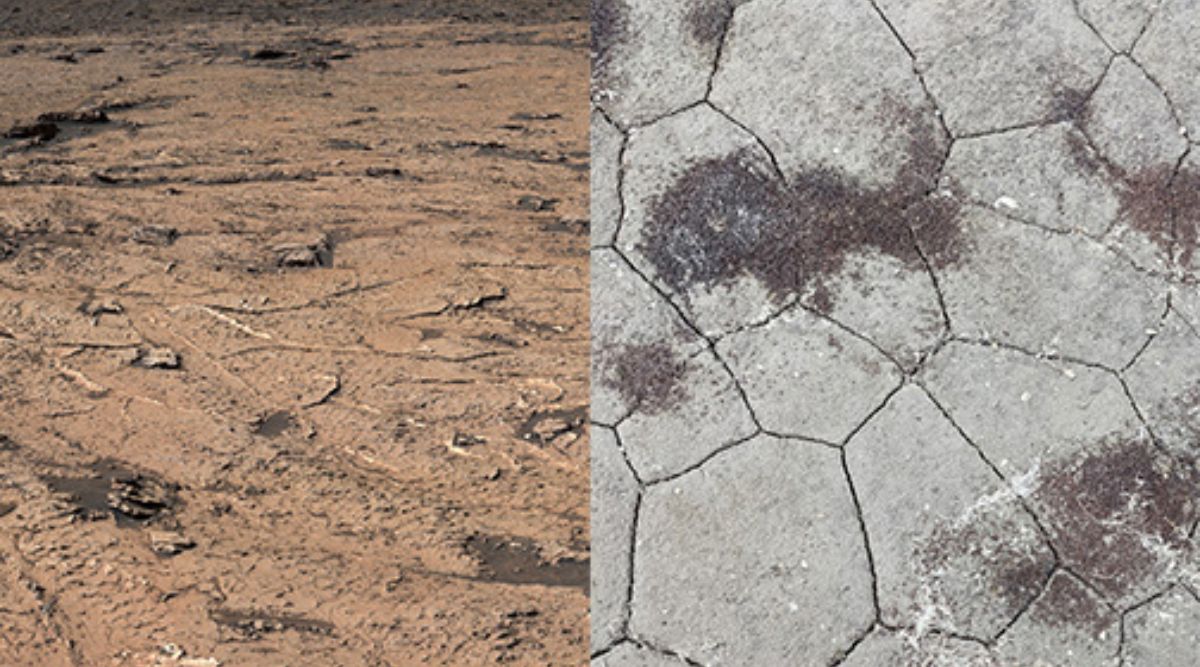 mud cracks on mars and mud cracks on earth