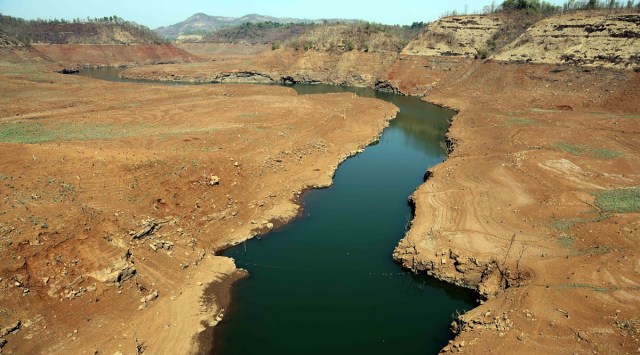 Maharashtra stares at agri crisis, drought with 40% rain in August