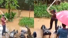 NCC cadet, physical assault