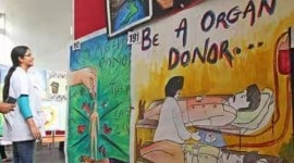 Mumbai organ donation, kidney transplant, heart transplant, organ transplant, hand transplants, Transplantation Coordination Centre, indian express news