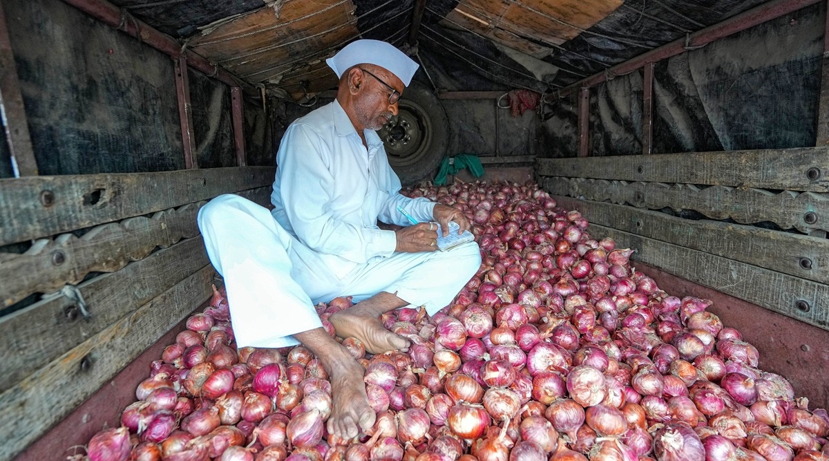 onion trade in nashik