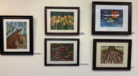 A pathologist’s stress-buster: Creating collage with only scraps of fabric, no paint