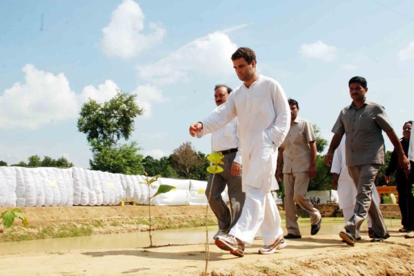 Rahul Gandhi Amethi