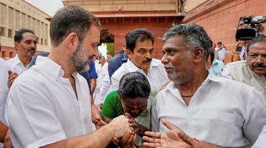 Rahul Gandhi Parliament