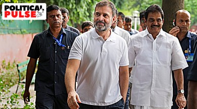 Rahul Gandhi Parliament