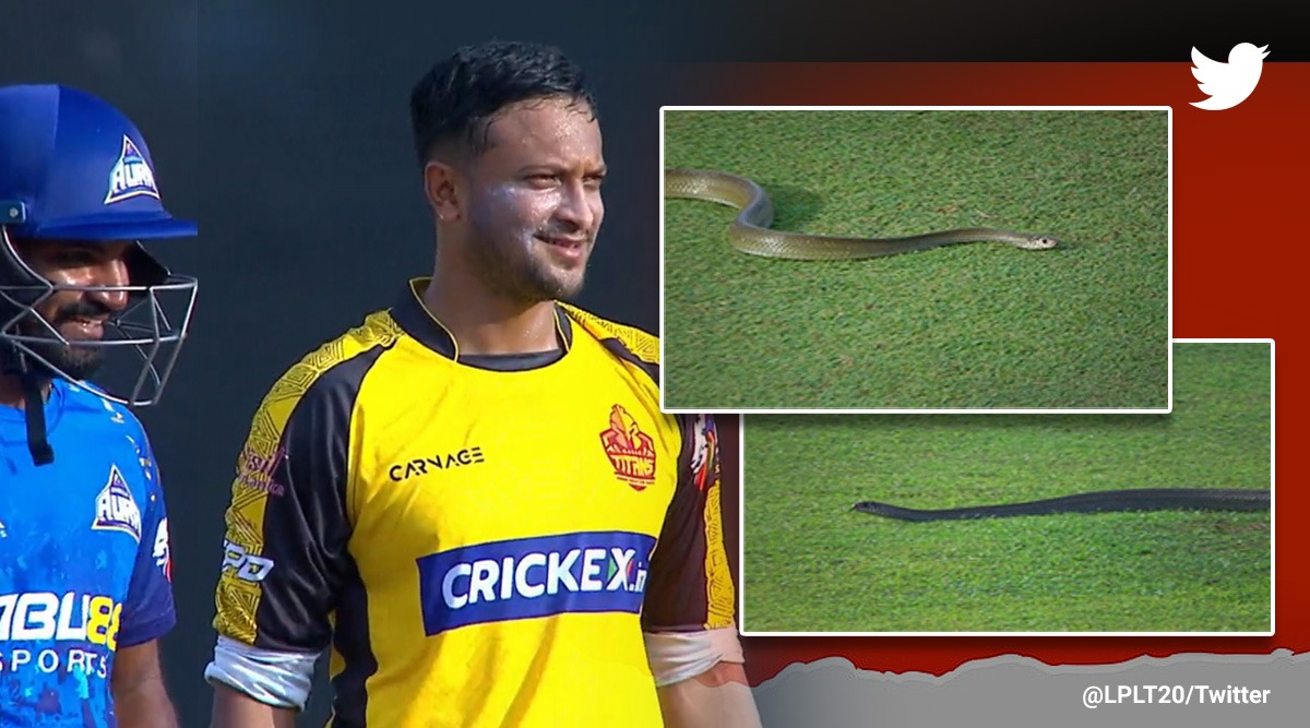 Snake interrupts match during Lanka Premier League
