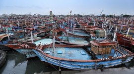 After 3.5K fishing boats deregistered last yr, state conducts similar survey