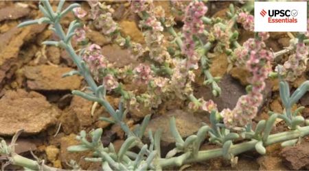 UPSC Daily subject-wise quiz : Environment, Geography, Science and Technology (Week 20)