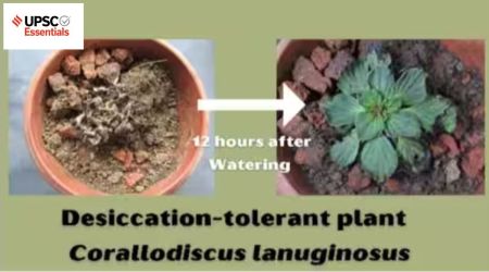 Daily subject-wise quiz : Environment, Geography, Science and Technology (Week 17)