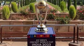 Cricket World Cup